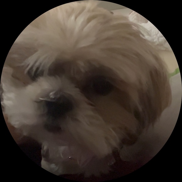 angieprez10
